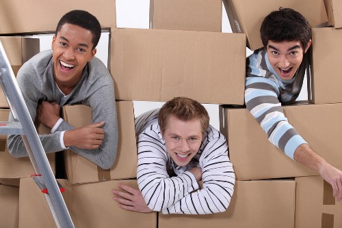 Local moving team handling boxes and household items in Crystal Palace