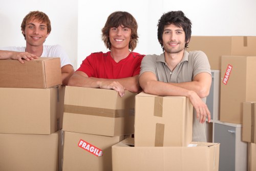 Local removal company handling a Crystal Palace move with care